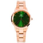 Daniel Wellington 28mm Nữ DW00100421 - Ảnh 1