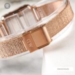 Daniel Wellington 20x26mm Nữ DW00100432 - Ảnh 8