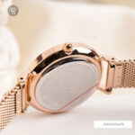 Daniel Wellington 28mm Nữ DW00100476 - Ảnh 9