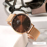 Daniel Wellington 32mm Nữ DW00100477 - Ảnh 3