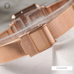 Daniel Wellington 22x22mm Nữ DW00100517 - Ảnh 8