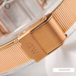 Daniel Wellington 22x22mm Nữ DW00100518 - Ảnh 8