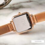 Daniel Wellington 22x22mm Nữ DW00100518 - Ảnh 9