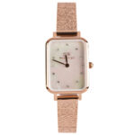 Daniel Wellington 20x26mm Nữ DW00100578 - Ảnh 1