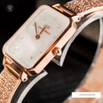 Daniel Wellington 20x26mm Nữ DW00100578 - Ảnh 5