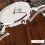 Daniel Wellington 28mm Nữ DW00100592 - Ảnh 5