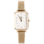 Daniel Wellington 20x26mm Nữ DW00100599 - Ảnh 1