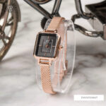 Daniel Wellington 15.4x18.2mm Nữ DW00100647 - Ảnh 2