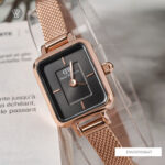 Daniel Wellington 15.4x18.2mm Nữ DW00100647 - Ảnh 3