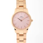 Daniel Wellington 28mm Nữ DW00100370 - Ảnh 1