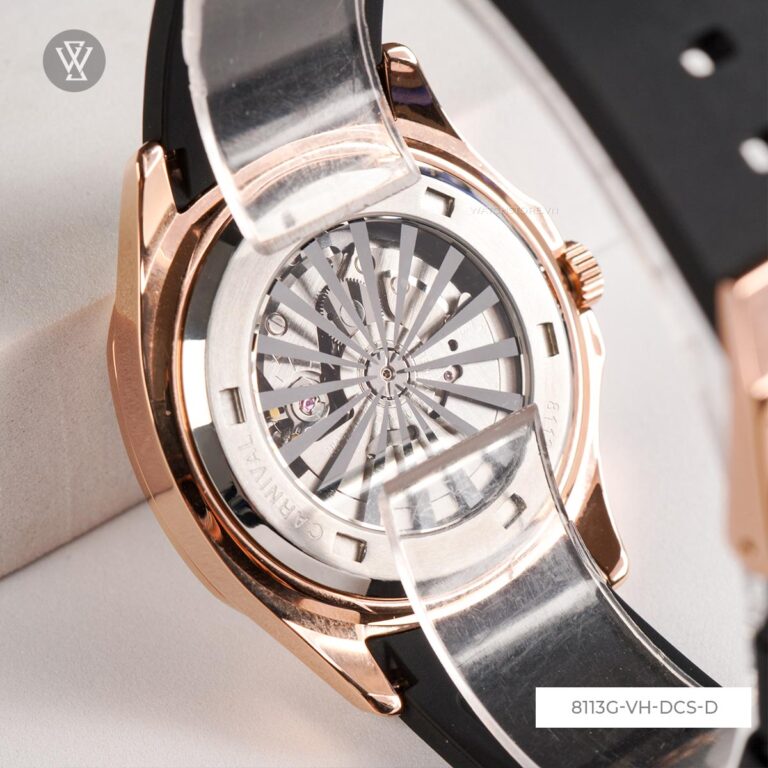 8113g Vh Dcs D 9 1712667087