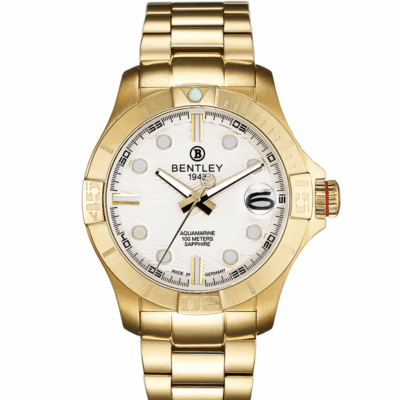 Ảnh sản phẩm Bentley 43mm Nam BL1796-60KWI