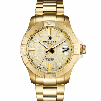 Ảnh sản phẩm Bentley 43mm Nam BL1796-60KKI