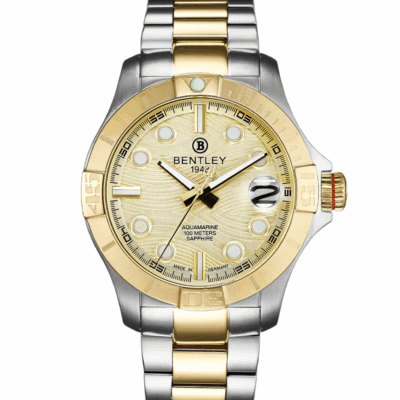 Ảnh sản phẩm Bentley 43mm Nam BL1796-60TKI