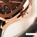 Carnival 40mm Nam 8113G-VH-DCS-N - Ảnh 5