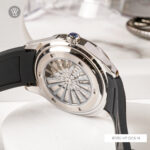 Carnival 40mm Nam 8113G-VT-DCS-N - Ảnh 9