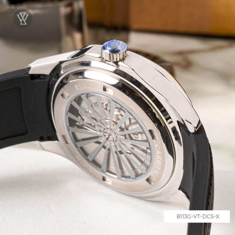 8113g Vt Dcs X 9 1712667514