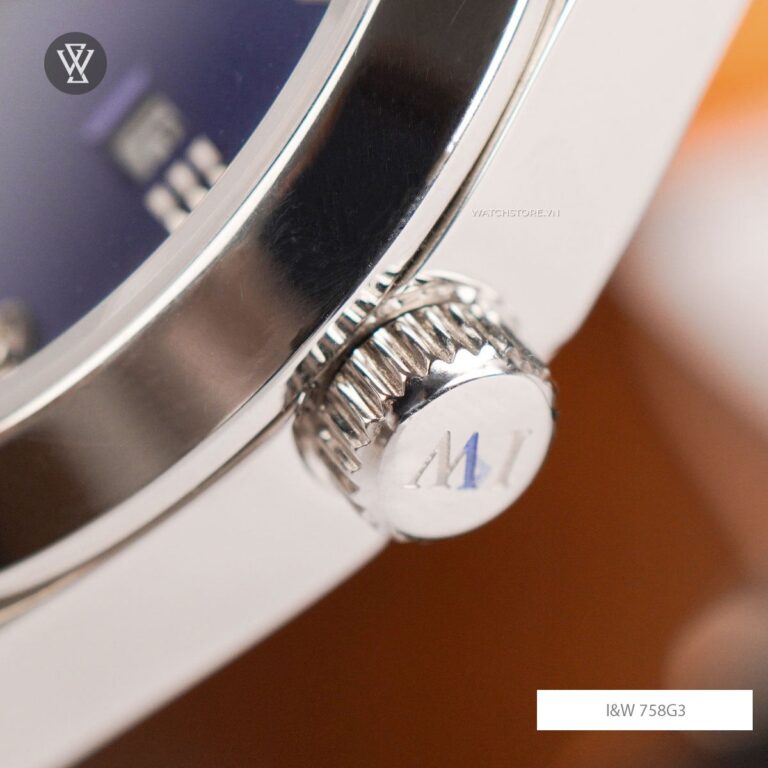 Carnival 5 Carnival 1715566218