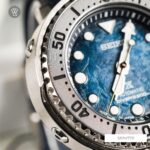 Seiko 43.2mm Nam SRPH77J1 - Ảnh 7