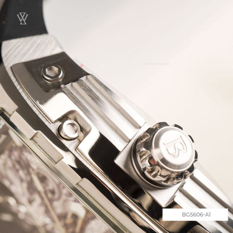 Bg5606 A1 10 1712669087