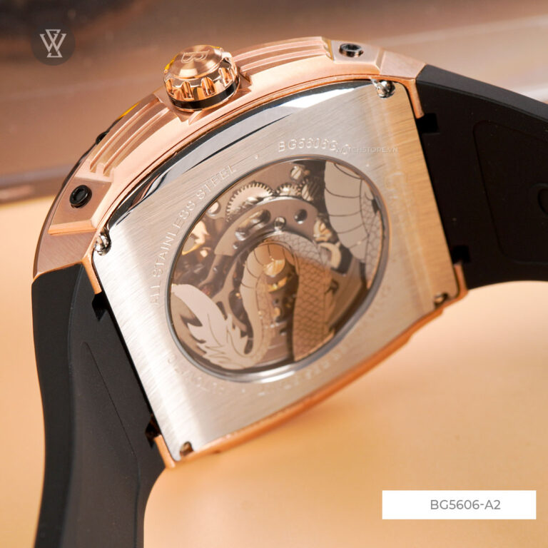 Bg5606 A2 10 1712669095