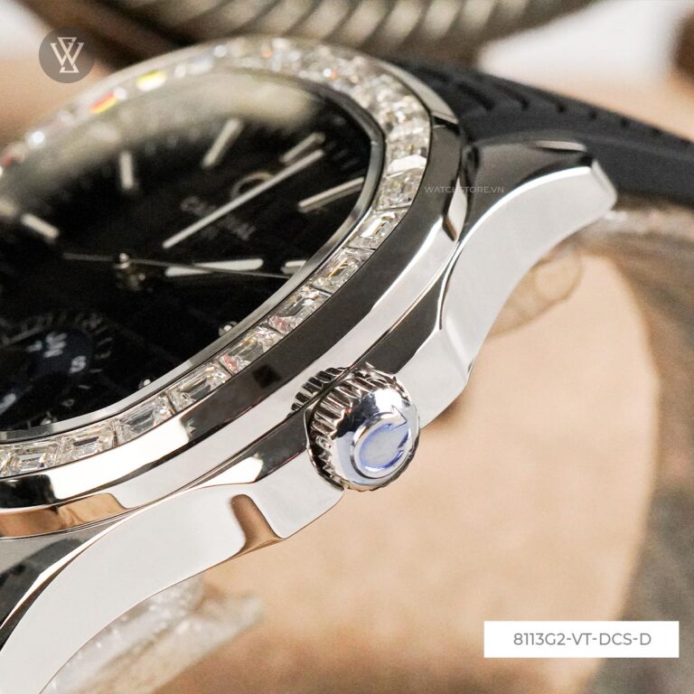 8113g2 Vt Dcs D 5 1712669848