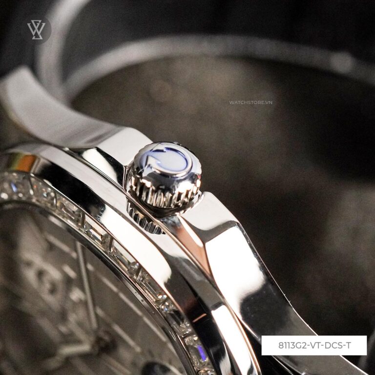 8113g2 Vt Dcs T 5 1712669844