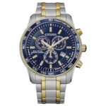 Citizen 44mm Nam BL5517-55L - Ảnh 1