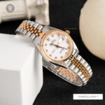 Olym Pianus 29mm Nữ OP68322L29SR-T - Ảnh 3