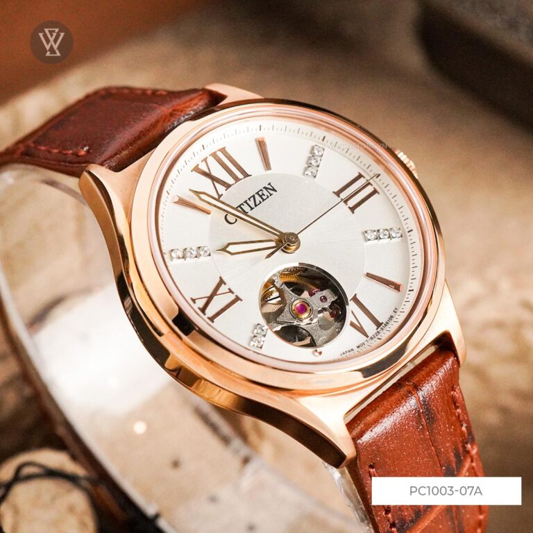 Pc1003 07a 6 1712670218