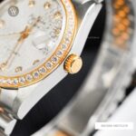 Alexandre Christie 40mm Nam AC8A138A-MDTGCRP - Ảnh 5