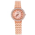 Alexandre Christie 33mm Nữ AC8B78A-SDRGPIS - Ảnh 1