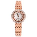 Alexandre Christie 33mm Nữ AC8B78A-SDRGCRS - Ảnh 1