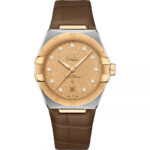 Omega 39mm Nam 131.23.39.20.58.001 - Ảnh 1