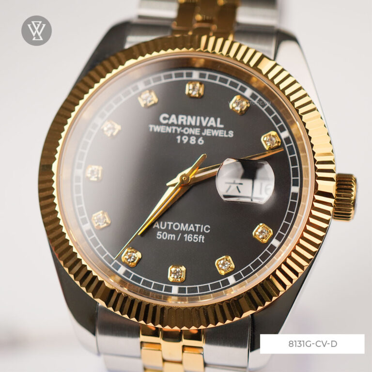 8131g Cv D 2 1721296856