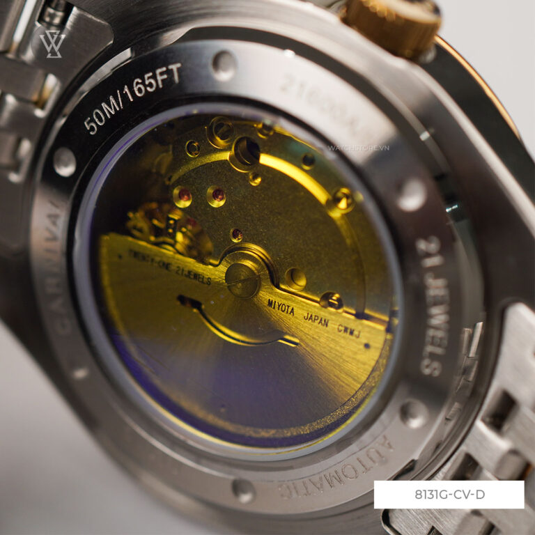 8131g Cv D 3 1721296856