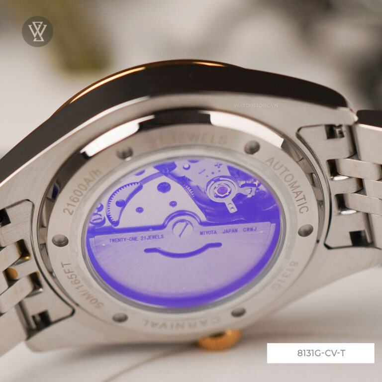 8131g Cv T 7 1720692520