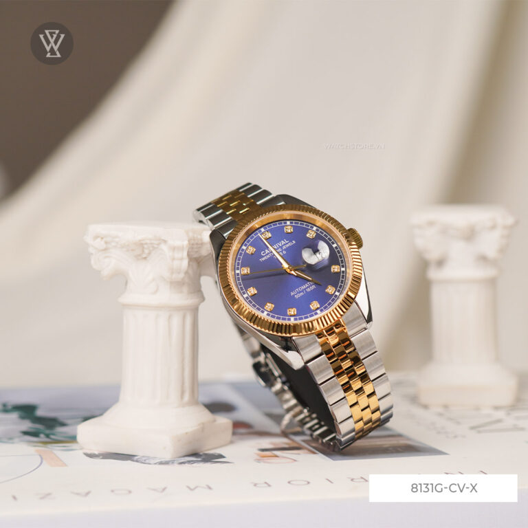 8131g Cv X 11 1721278225