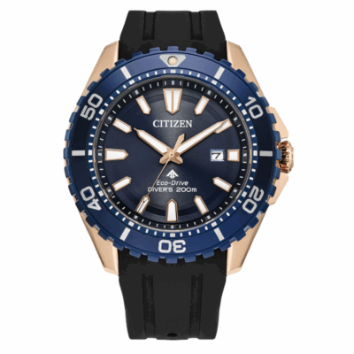 Ảnh sản phẩm Citizen 44.5 mm Nam BN0196-01L