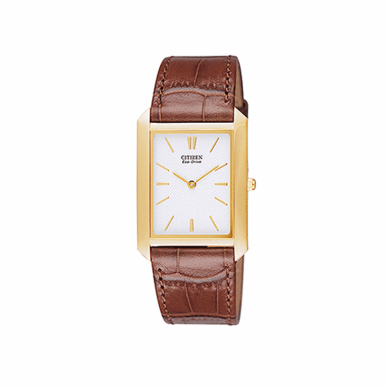 Citizen 29 x 26 mm Nam AR3002-21A