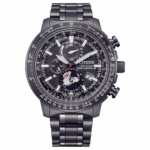 Citizen 46mm Nam BY3005-56G - Ảnh 1