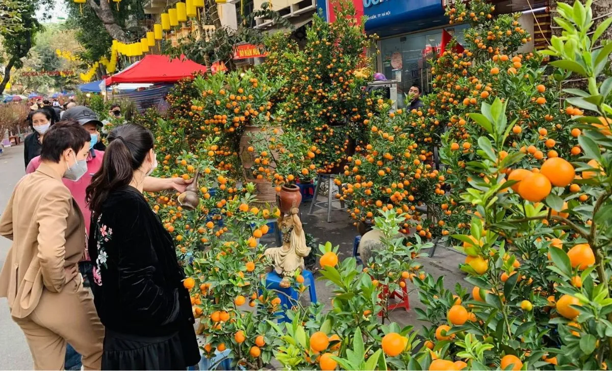 Còn bao nhiêu ngày nữa đến Tết âm lịch Ất Tỵ countdown 2025? 4 anh tet am lich 9 1728975881