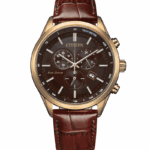 Citizen 42mm Nam AT2573-07X - Ảnh 1