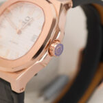 Carnival 41mm Nam 8108G1-VH-DD-T - Ảnh 6