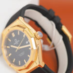 Carnival 42mm Nam 8168G-VV-DCS-D - Ảnh 5