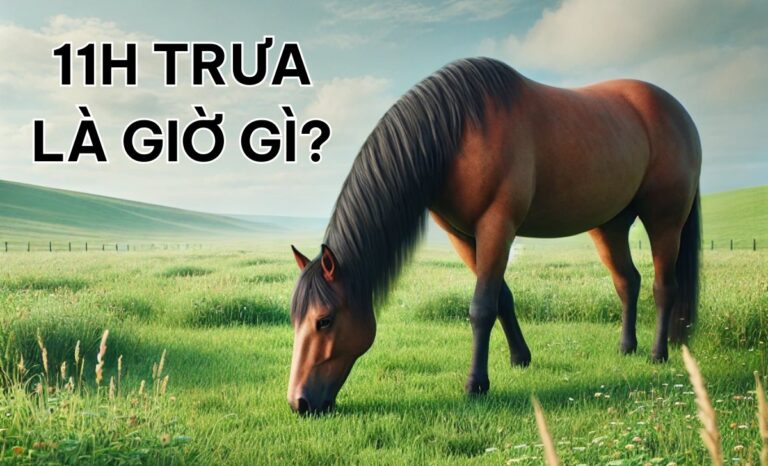 11h trưa là giờ gì? Nên và không nên làm gì lúc 11 giờ trưa?