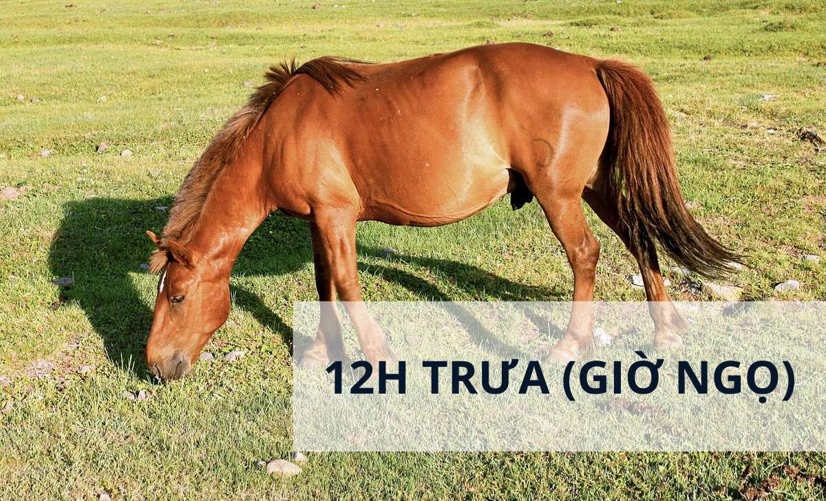 12h trưa giờ Ngọ