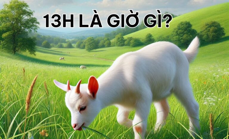 13h là giờ gì? Nên và không nên làm gì lúc 13 giờ chiều?
