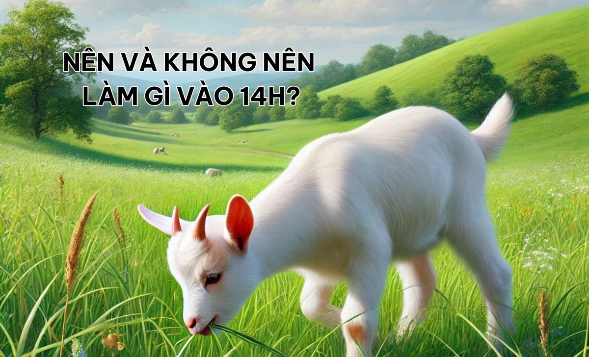 14h là giờ gì? Nên và không nên làm gì lúc 14 giờ? 2 14h la gio gi 1