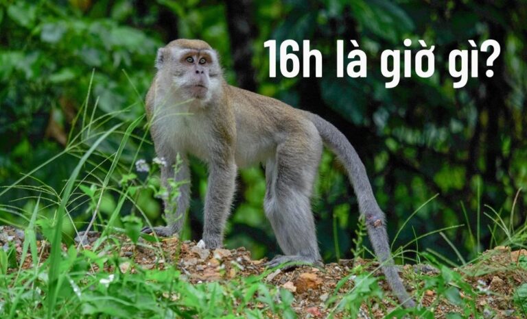 16h là giờ gì? Nên và không nên làm gì lúc 16 giờ chiều?